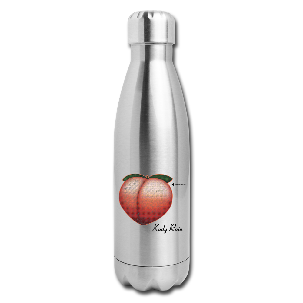 Insulated Stainless Steel Water Bottle - silver
